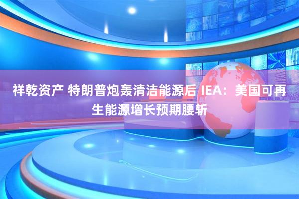 祥乾资产 特朗普炮轰清洁能源后 IEA：美国可再生能源增长预期腰斩