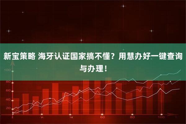 新宝策略 海牙认证国家搞不懂？用慧办好一键查询与办理！