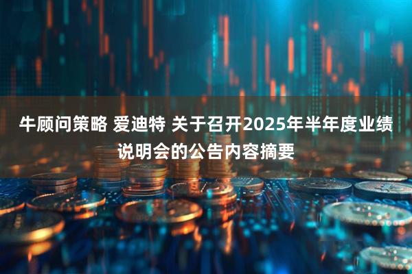 牛顾问策略 爱迪特 关于召开2025年半年度业绩说明会的公告内容摘要