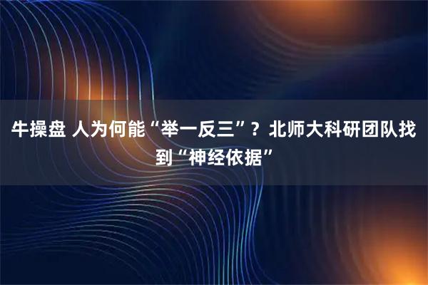 牛操盘 人为何能“举一反三”？北师大科研团队找到“神经依据”